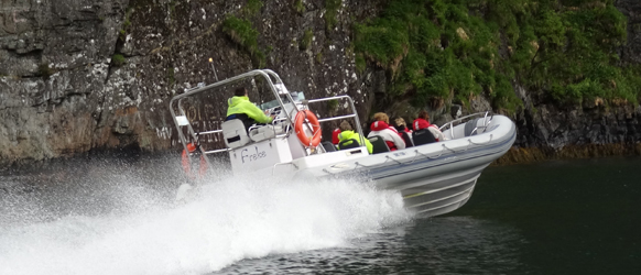 Fjordsafari RIB båt 10 Fjordsafari RIB båt 10